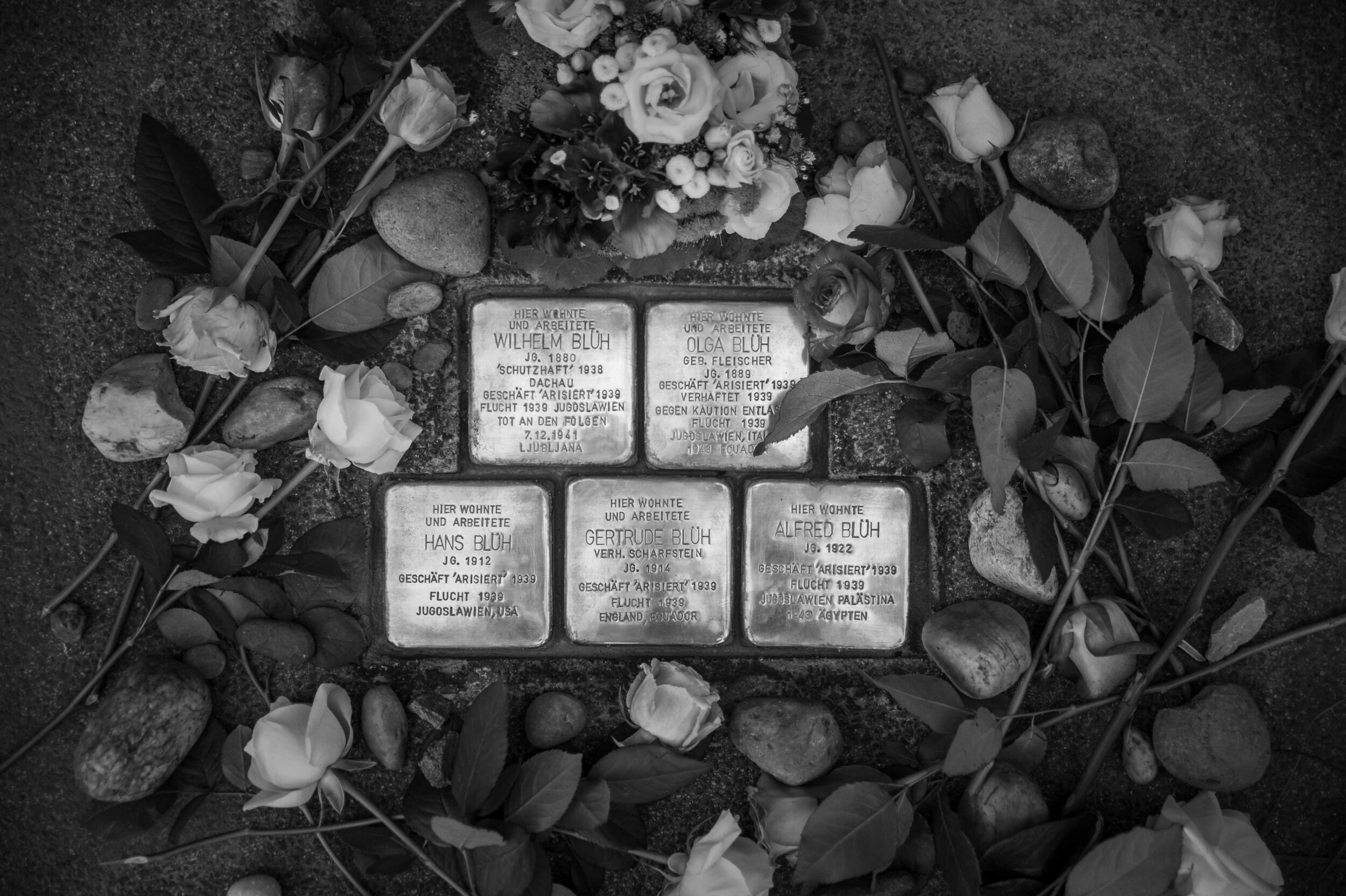 StolpersteineWeb1_0020