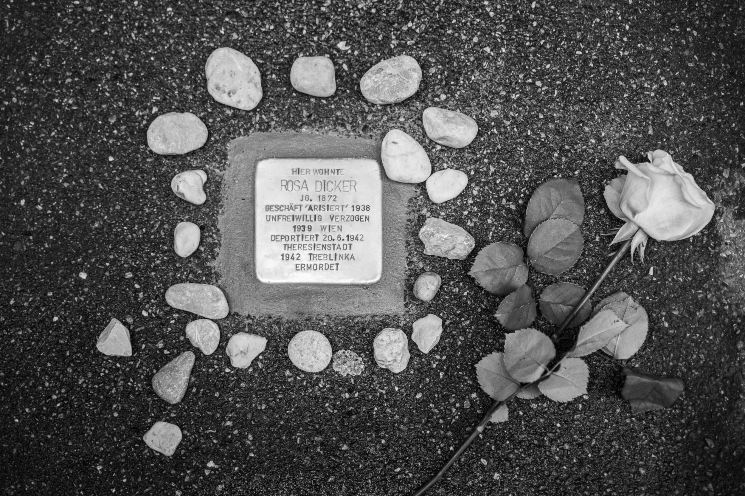 StolpersteineWeb1_0029