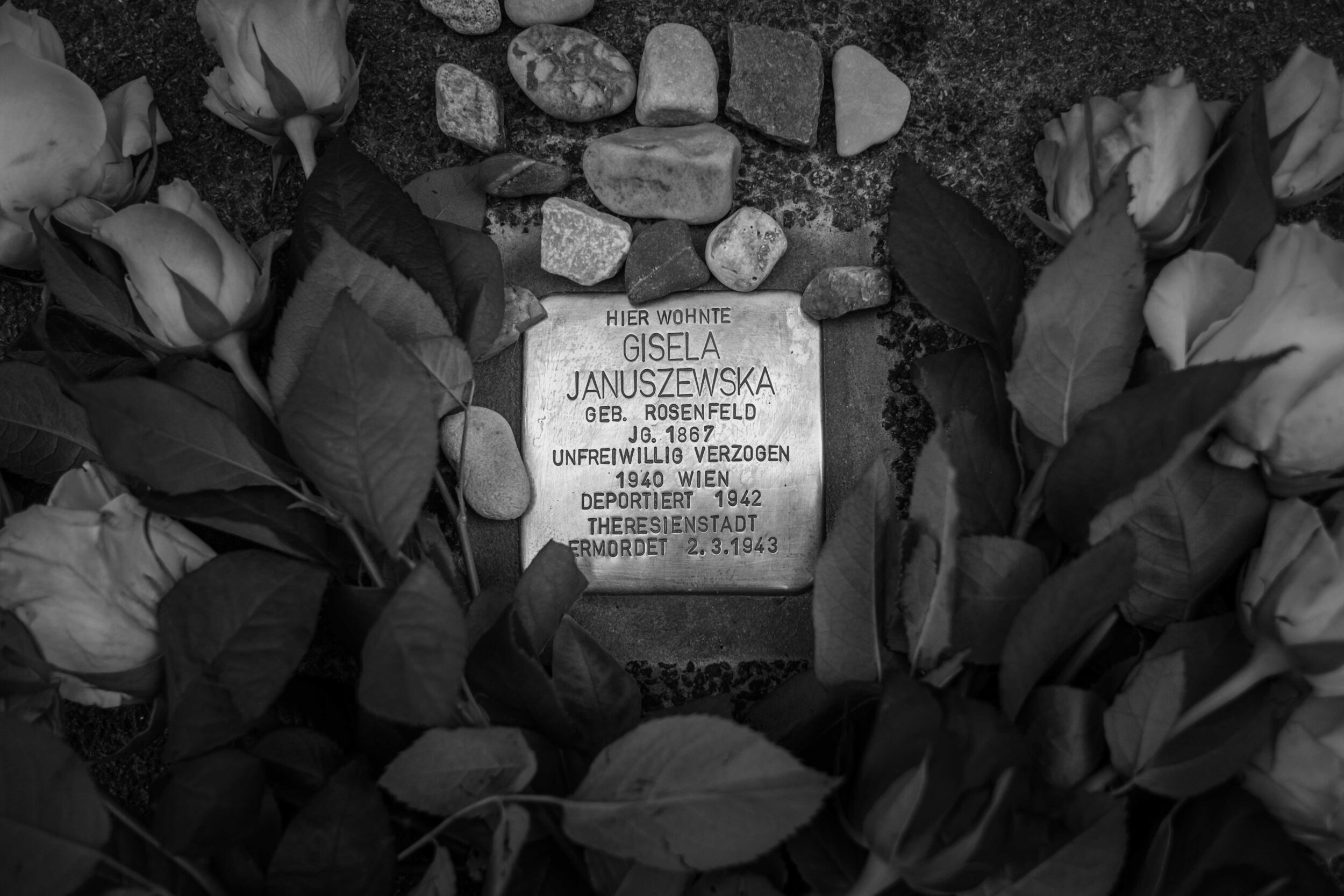 StolpersteineWeb1_0055