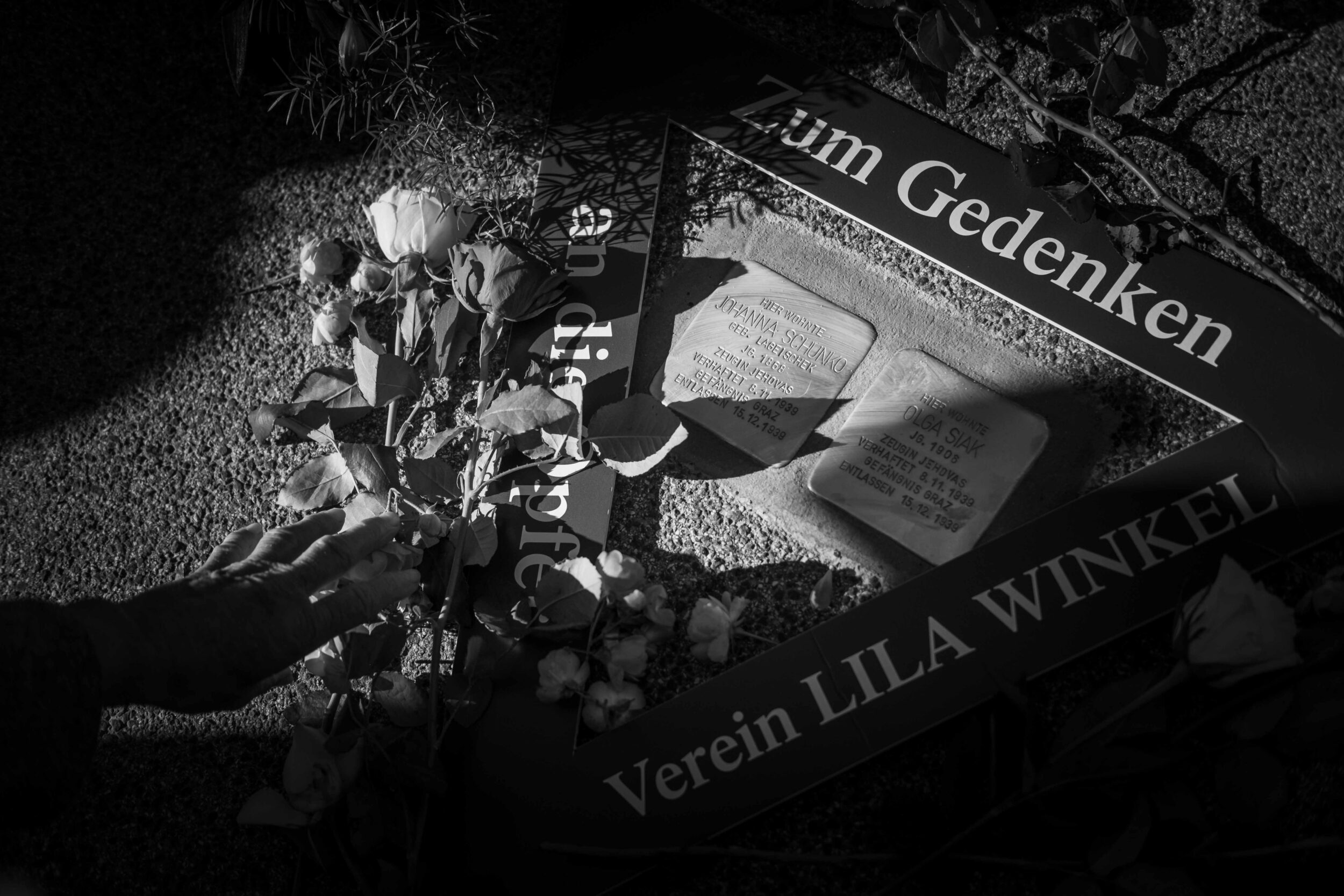 StolpersteineWeb1_0057